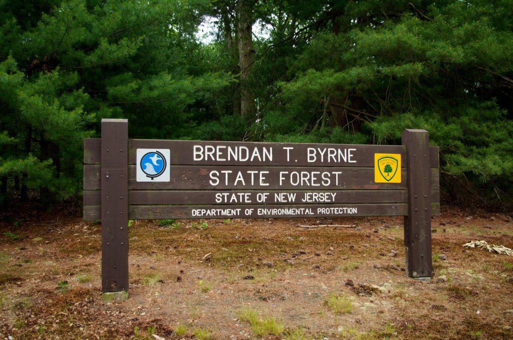 Brendan Byrne State Forest A Quick Guide