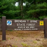 Brendan Byrne State Forest: A Quick Guide – NJPineBarrens.com